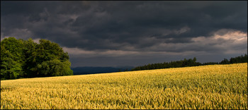 Unser täglich Brot / Regenwolken