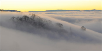 Feiner Nebel / Nebel