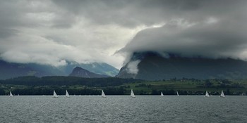 Regatta auf dem Thunersee / ...