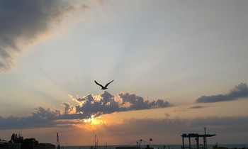 Sonnenuntergang / ***
