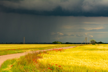 Sommer kommt bald / ***