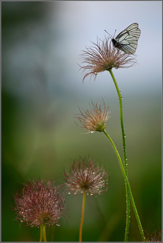 Am Morgen ... / ......