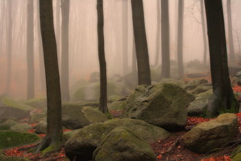 Natur / Natur