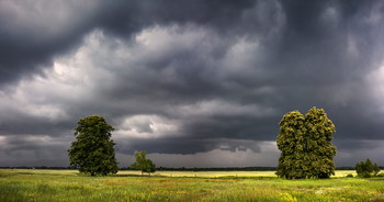 Vor dem Sturm / ***