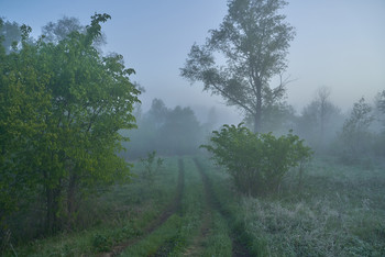 Nebliger Morgen / ***