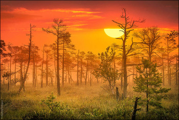 / Sunrise
