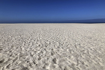  / Coronado