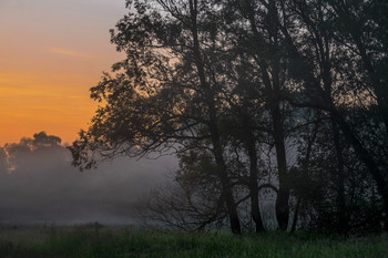 Morgendämmerung / ***
