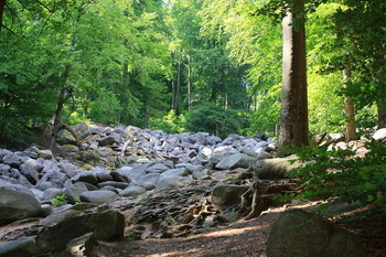 Natur / Natur