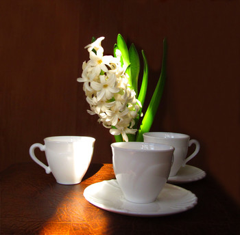  / coffee