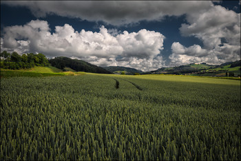 Cumulus / Wolken