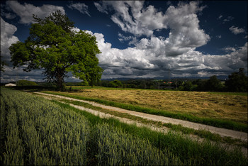 Samstags Wetter / Wolken