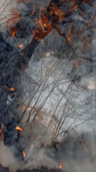 Spiegelung / ***
