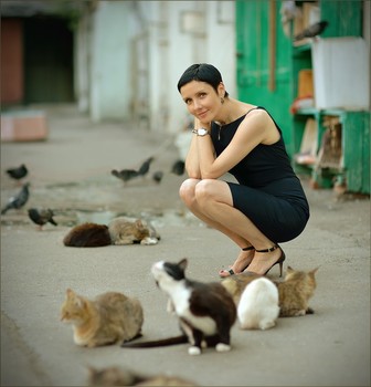 Cats / ***
