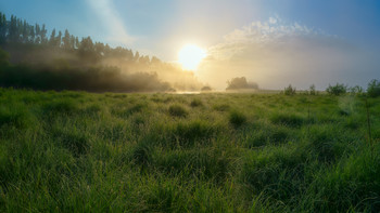 Herbstnebel / ***