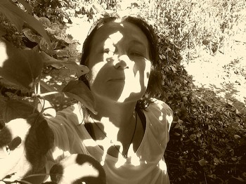 Mimikry / ***