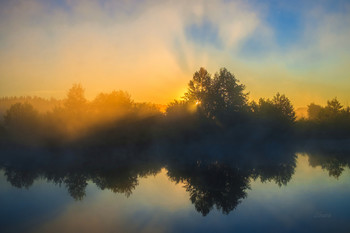 Sommermorgen. / ***