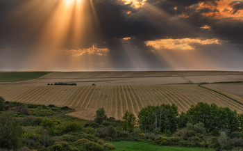 Sommer- / ***