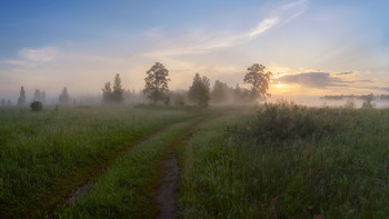 Morgennebel / ***