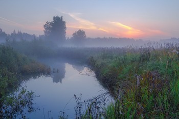 Bald dawn / ***