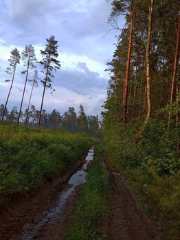 Nach dem Regen / ***