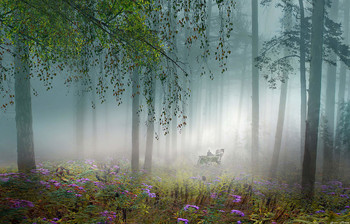Der Geruch des Herbstes / ***