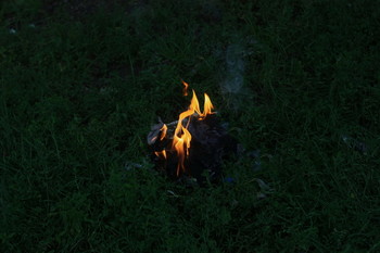 Flamme / ***