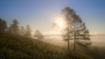 Herbstnebel / ***