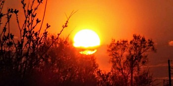 Bei Sonnenuntergang / ***