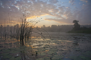 Bei Tagesanbruch am Morgen ... / ***