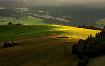  / Poranek
