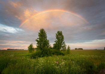 Regenbogen / ***