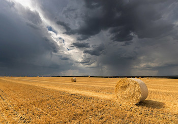 Krieg und Frieden / ***