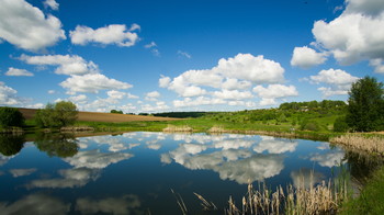 Sommerlandschaft. / ***