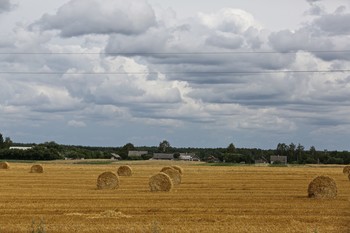 Am Stadtrand / ***