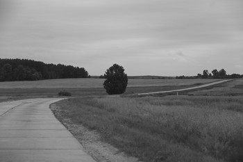 Weg / ***