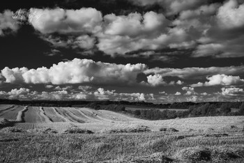 Versuche die Wolken zu fangen... / Erntezeit in der Landschaft Angeln
