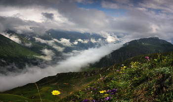 Sommer in den Bergen / ***