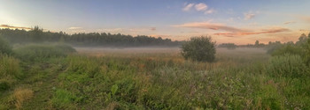 Abendnebel / ***