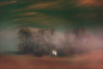 DREAMS / ***