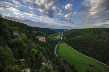 Junge Donau 2 / ***