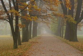 Herbst / ***