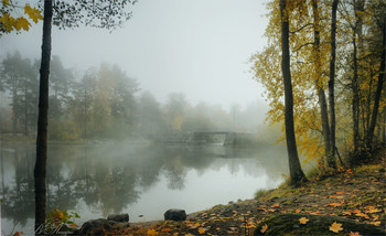 Brücke im Nebel / ***