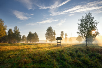 Morgen in den Wald / ***