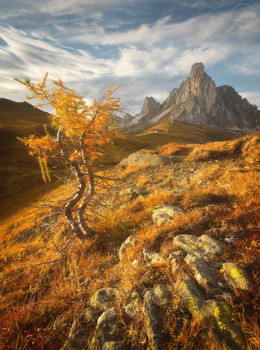 Passo Giau / ***