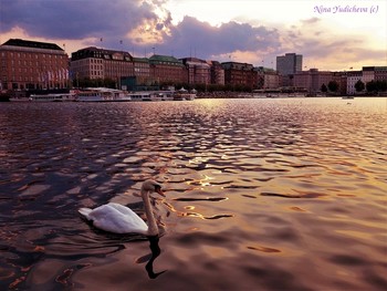 Alster Hamburg / ***