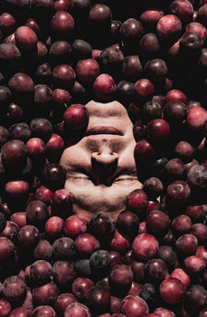 "Harvest" / ***