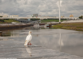 Direkt am Wasser / ***