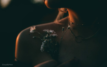 Diana Shevchenko / ***