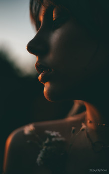 Diana Shevchenko / ***